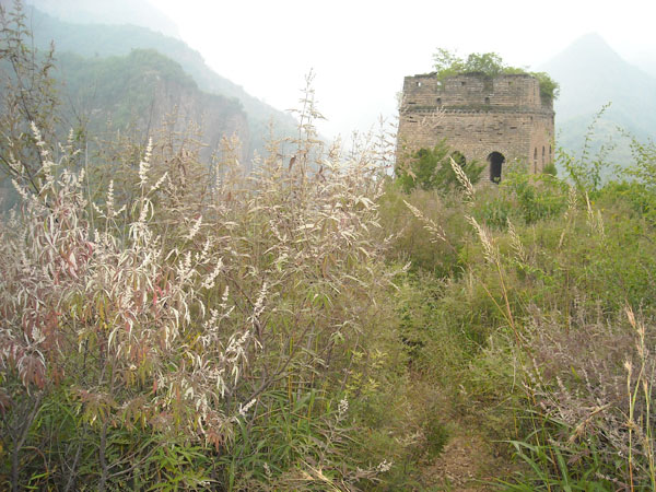 东极仙谷自然风景区