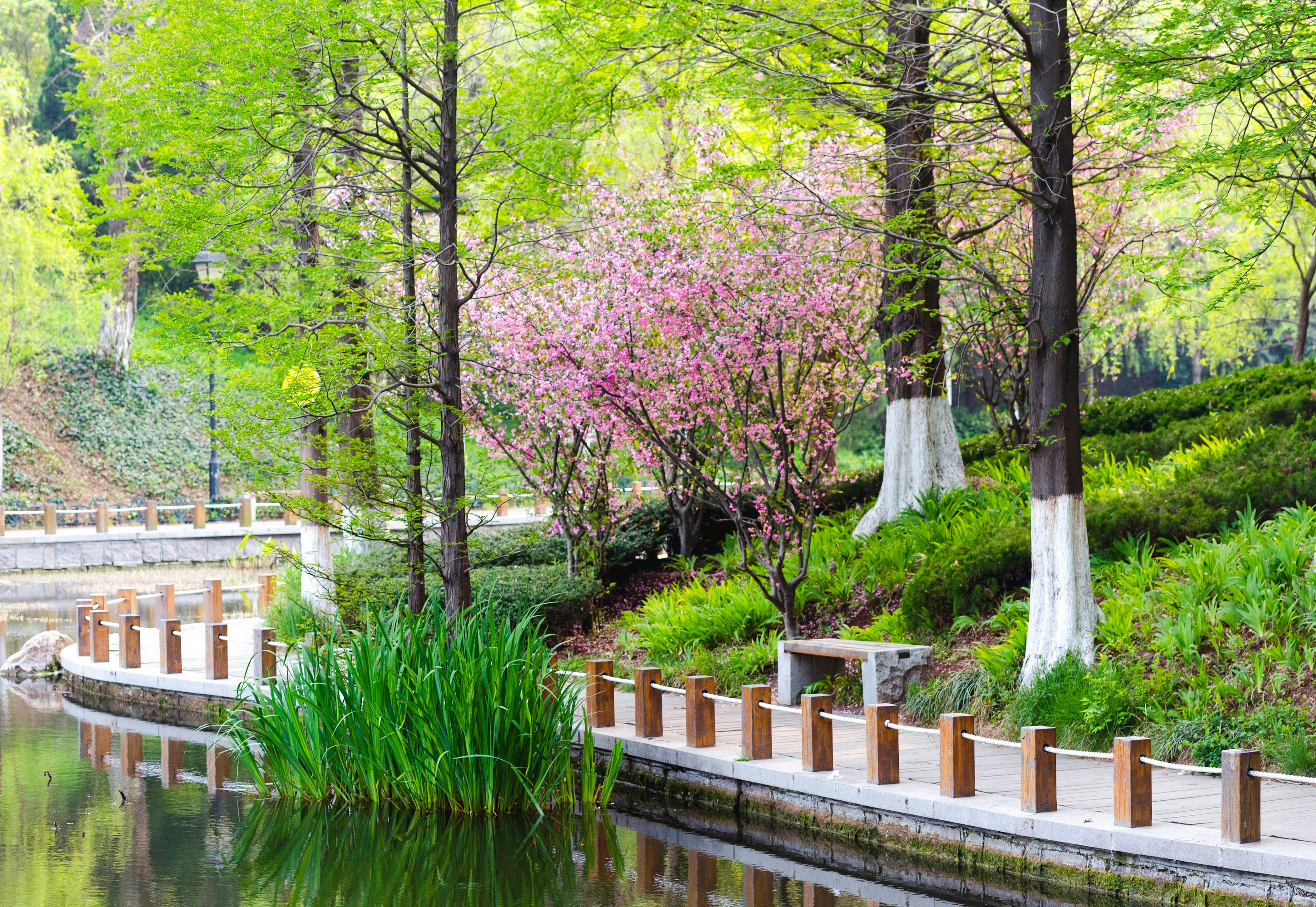 青岛植物园