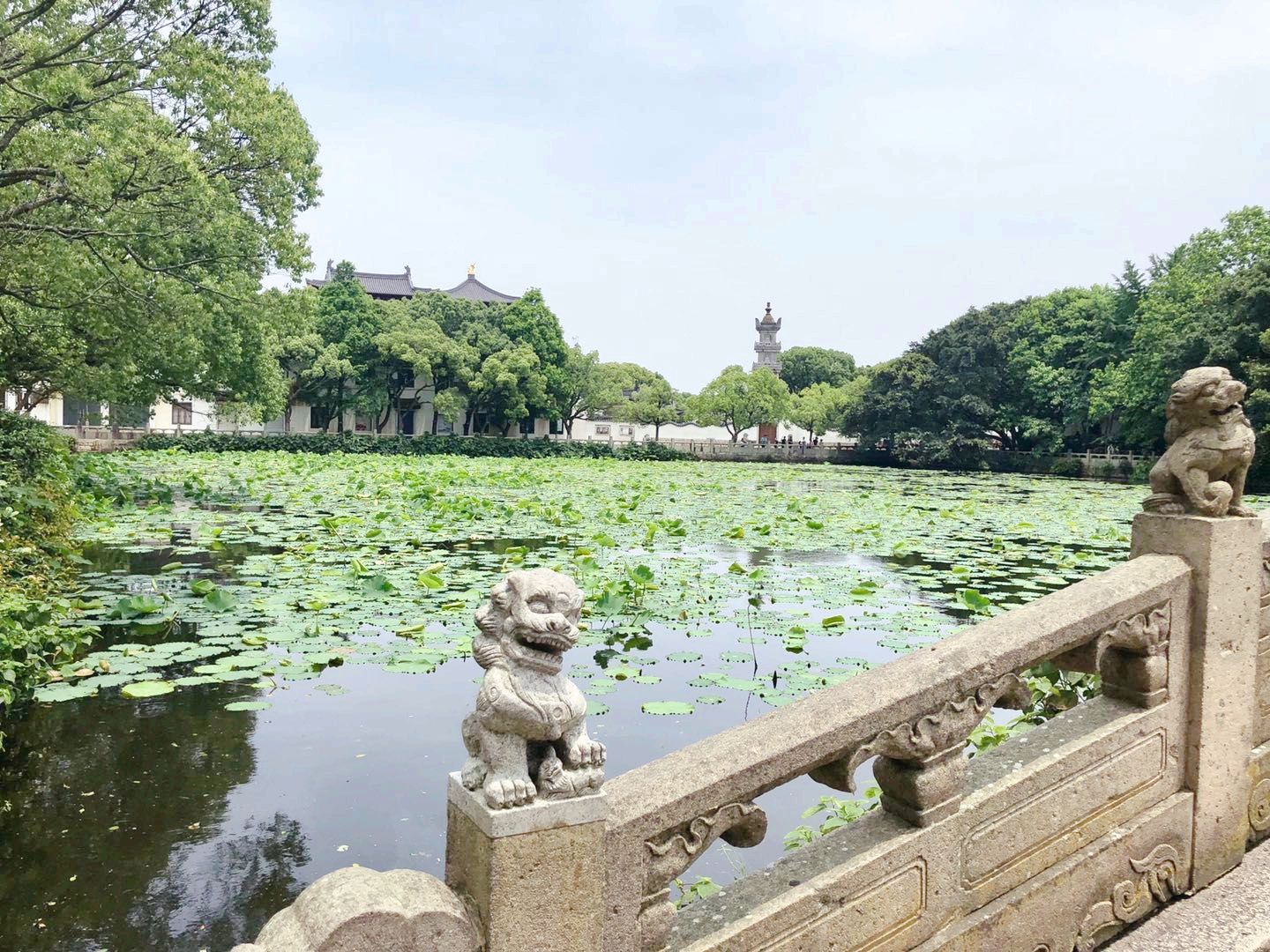 海印池