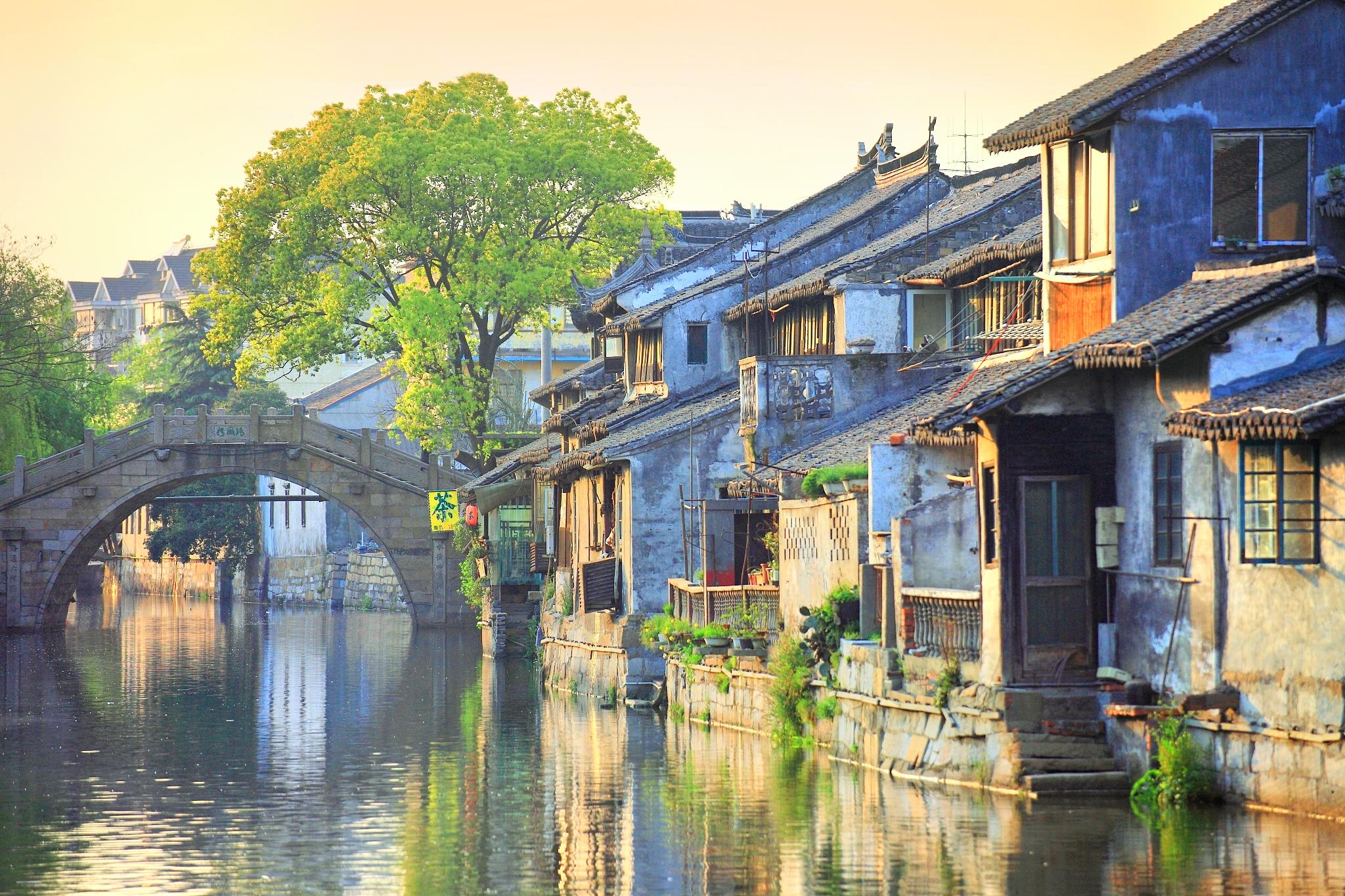 枫泾古镇