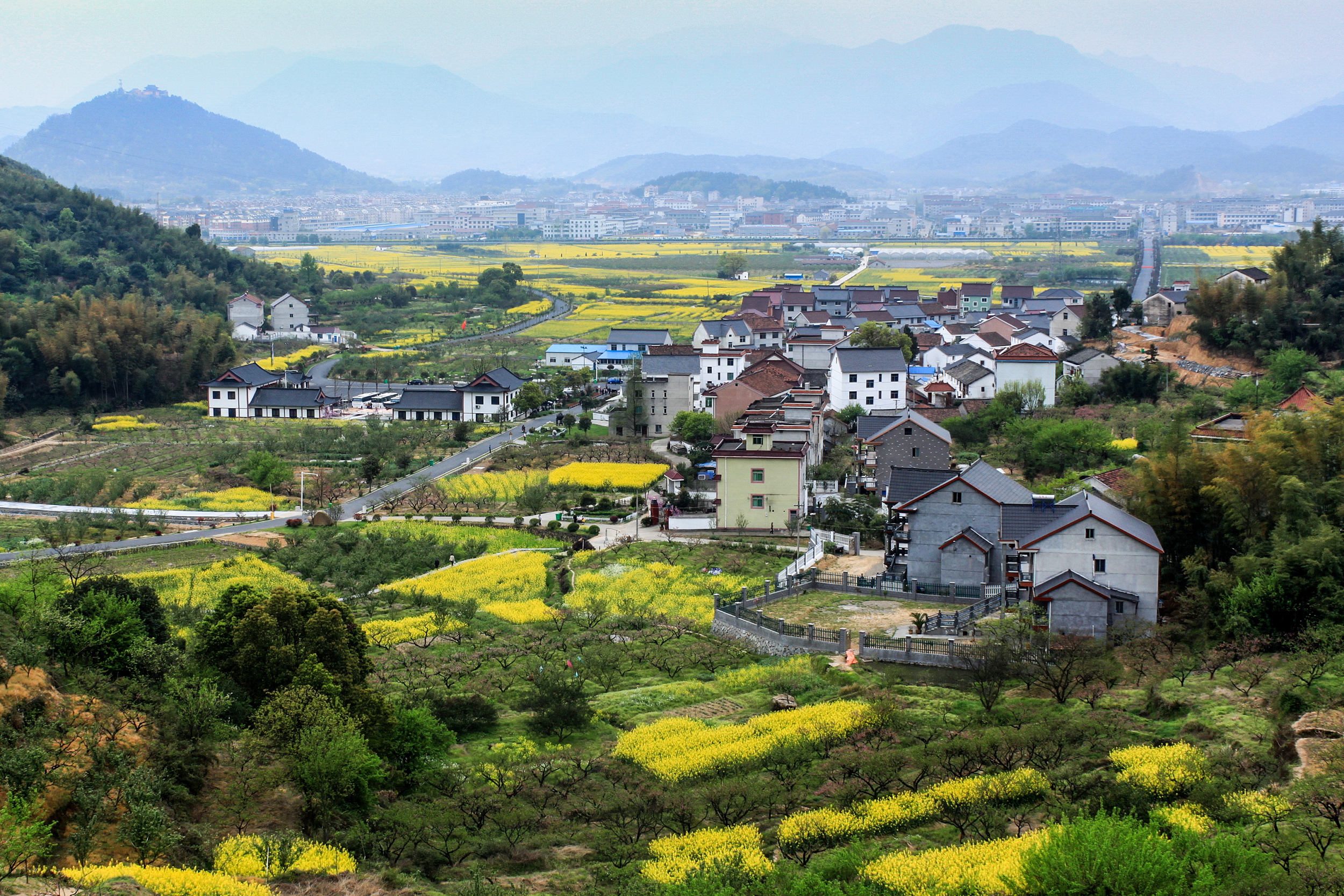 阳山畈村