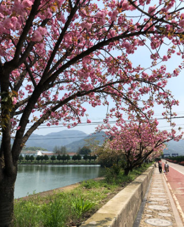 茶满山庄