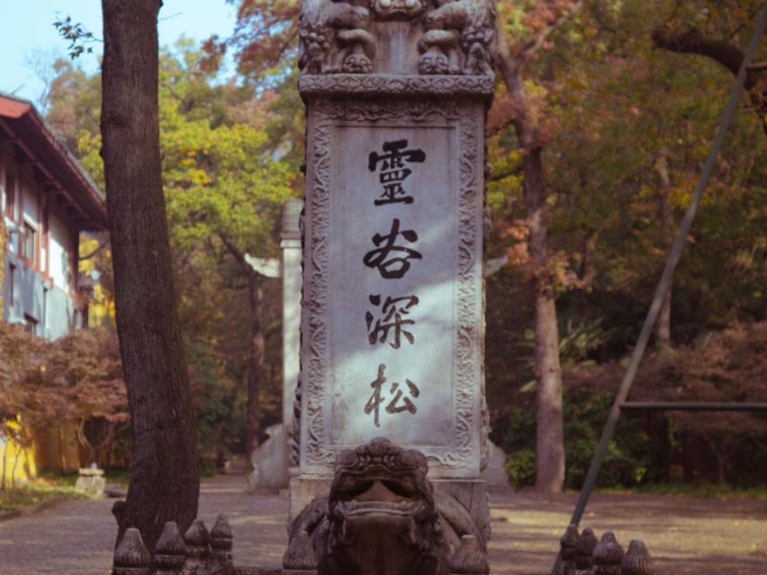 灵谷深松