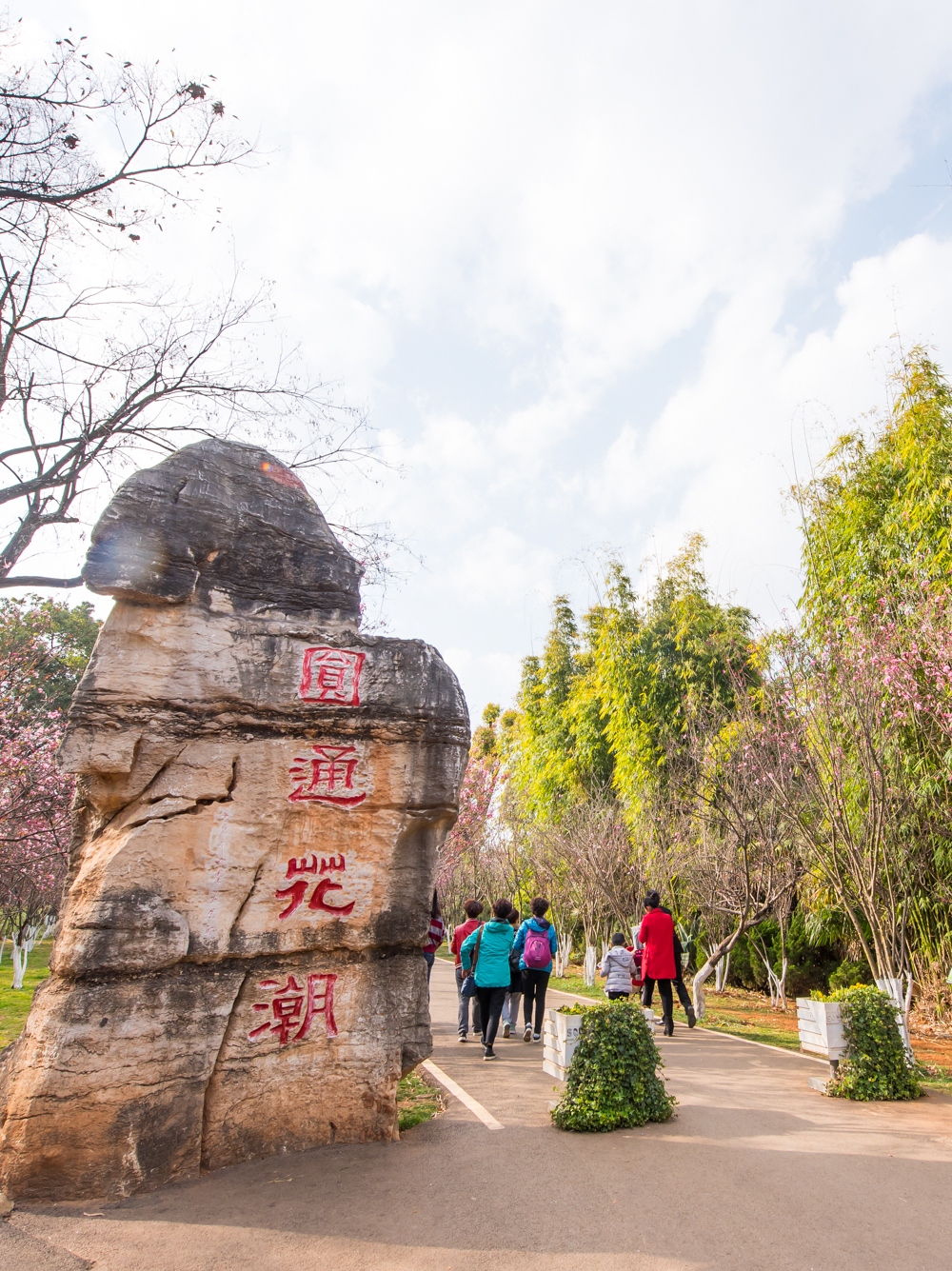 圆通花潮