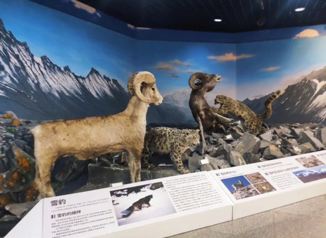 新疆生态与地理研究所标本馆