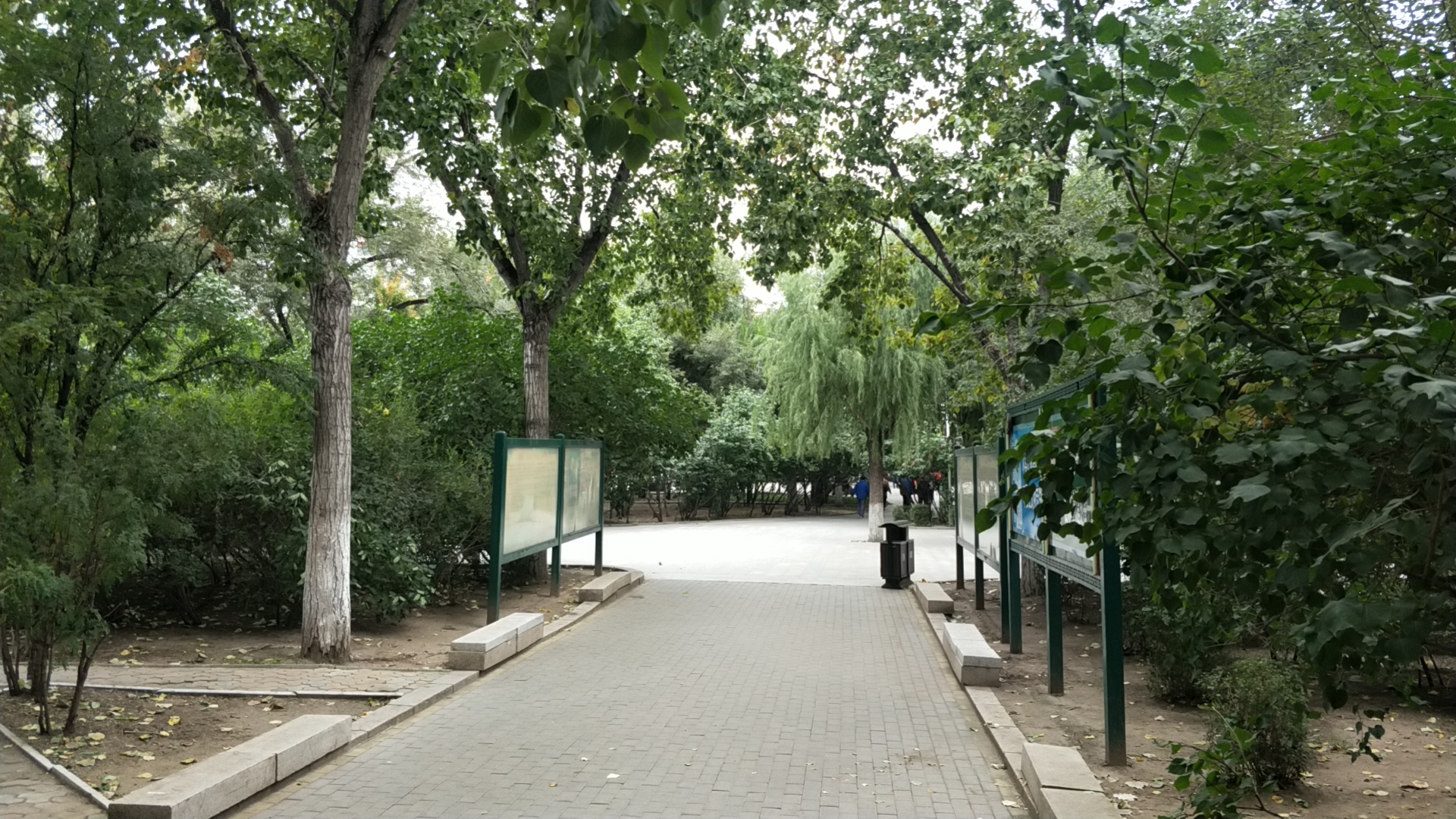 清滨公园