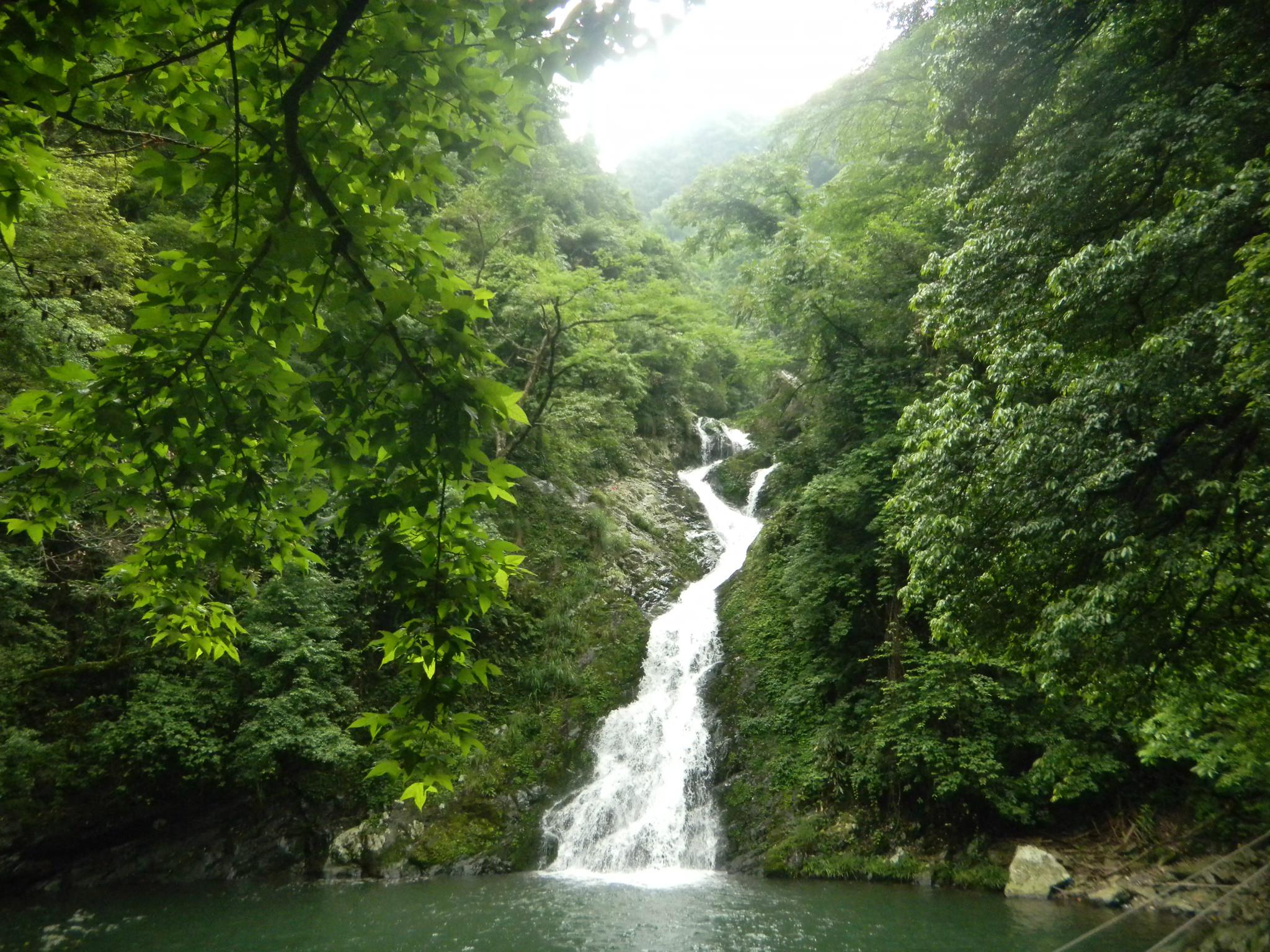 庐山+婺源+三清山+景德镇+南昌+井冈山双卧8日跟团游 HX江西