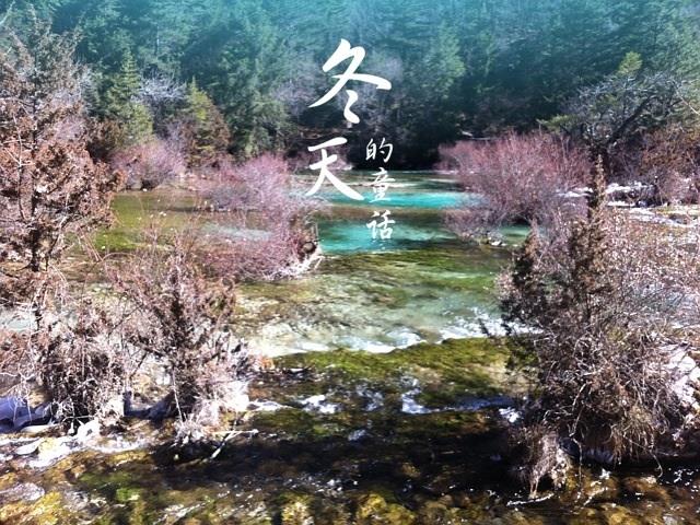 成都、九寨沟、黄龙、熊猫乐园6日游 M四川