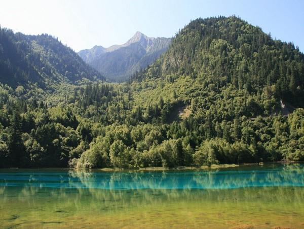 成都+熊猫基地+乐山+峨眉+都江堰+黄龙+九寨沟双飞8日跟团游W四川