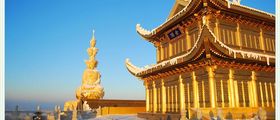 【灵动峨眉】双飞/双动6日·双卧8日，峨眉山丨乐山大佛丨都江堰  青城山丨成都1日自由行