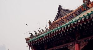 【北游东三省】黑龙江吉林辽宁全景双卧9天