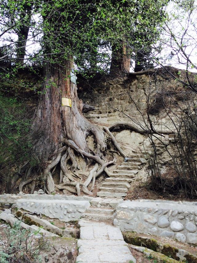 【圣地西藏】拉萨林芝  双卧11日游