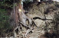 【圣地西藏】拉萨林芝  双卧11日游
