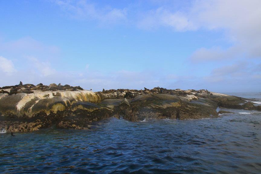 海豹岛120.jpg