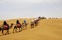 【大漠雅趣：亲子奢旅时光】 宁夏双飞6日游