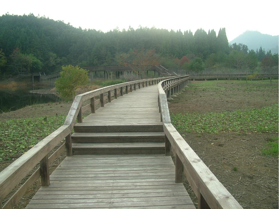 杭州日夜游+千岛湖桂花岛+乌镇东栅 CC杭州