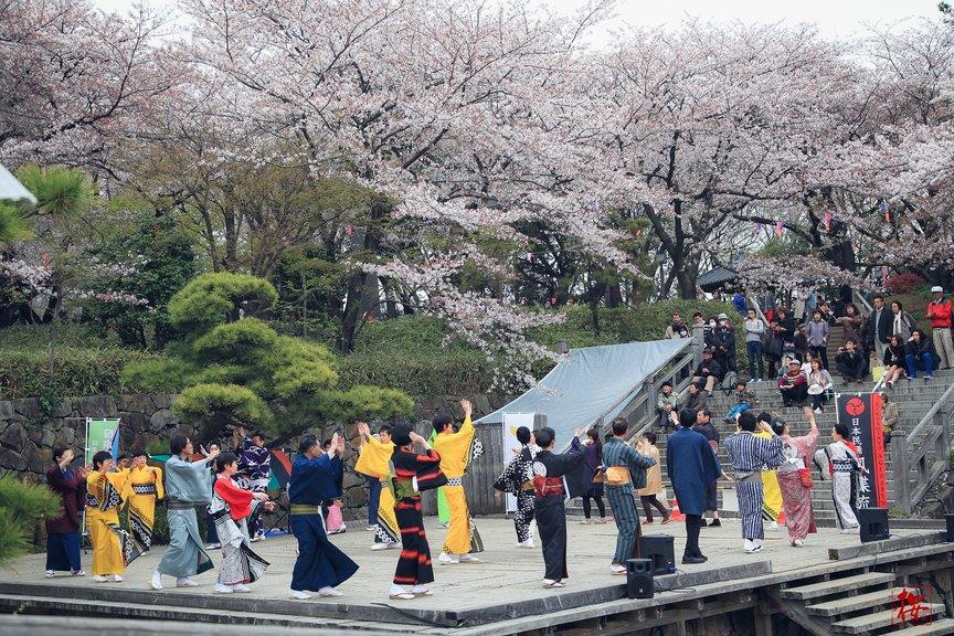 日本东京北海道七日冰雪奇缘滑雪体验半自助游跟团游