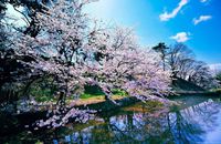 4钻 | 霸王大食代 | 本州双古都双温泉全包餐6天游