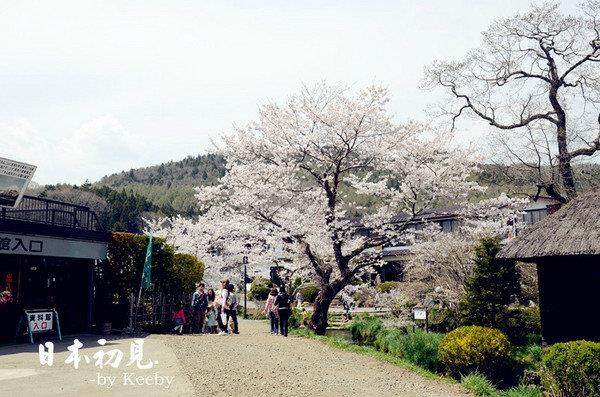 【JAPAN DAY日本札幌周边】