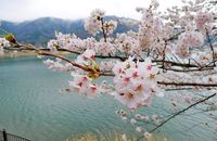 4钻-日本本州-霸王蟹道乐6日游 | 纯玩 | 三温泉  餐餐全含 | 全跟团