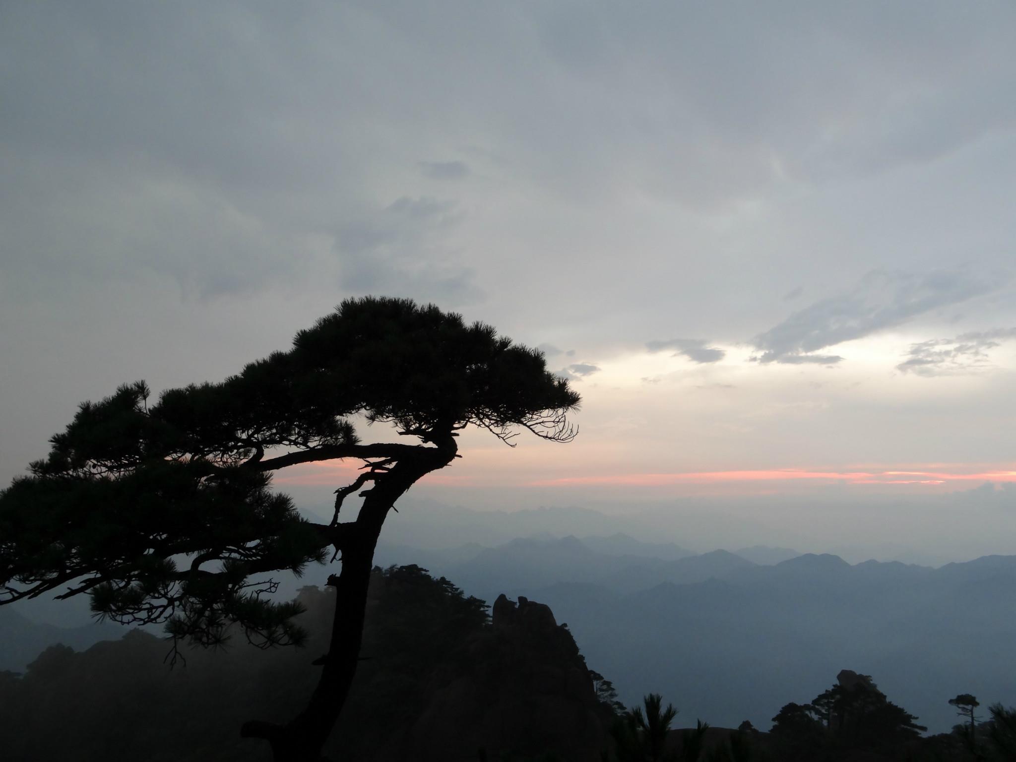 三清山康养 怀玉山4日游 ZF三清山