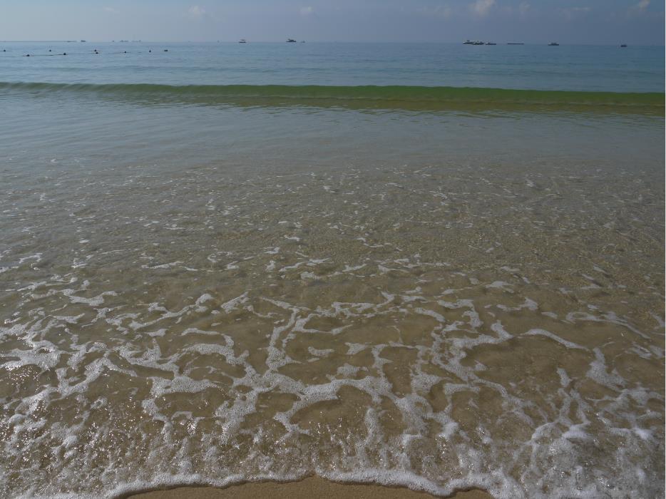海南三亚双飞5天跟团游 海底捞真 H海南