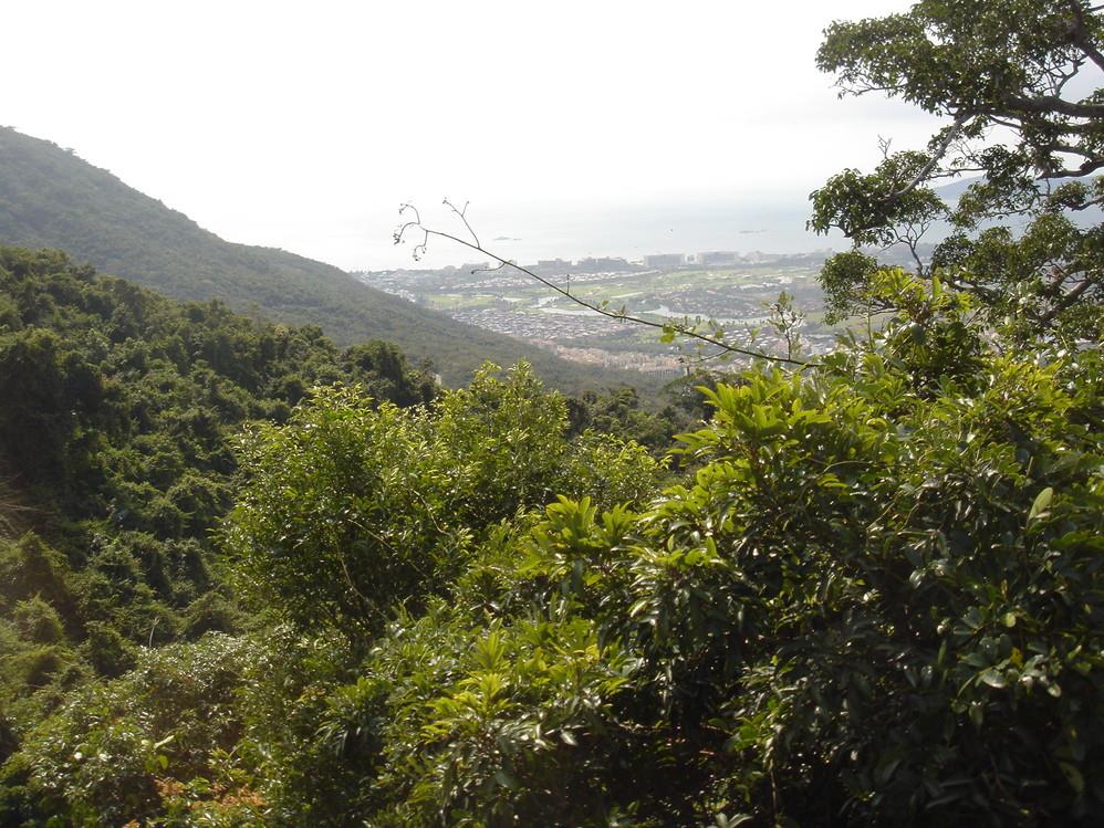 海南三亚一地双飞5日跟团游 0购三亚合家欢 P海南