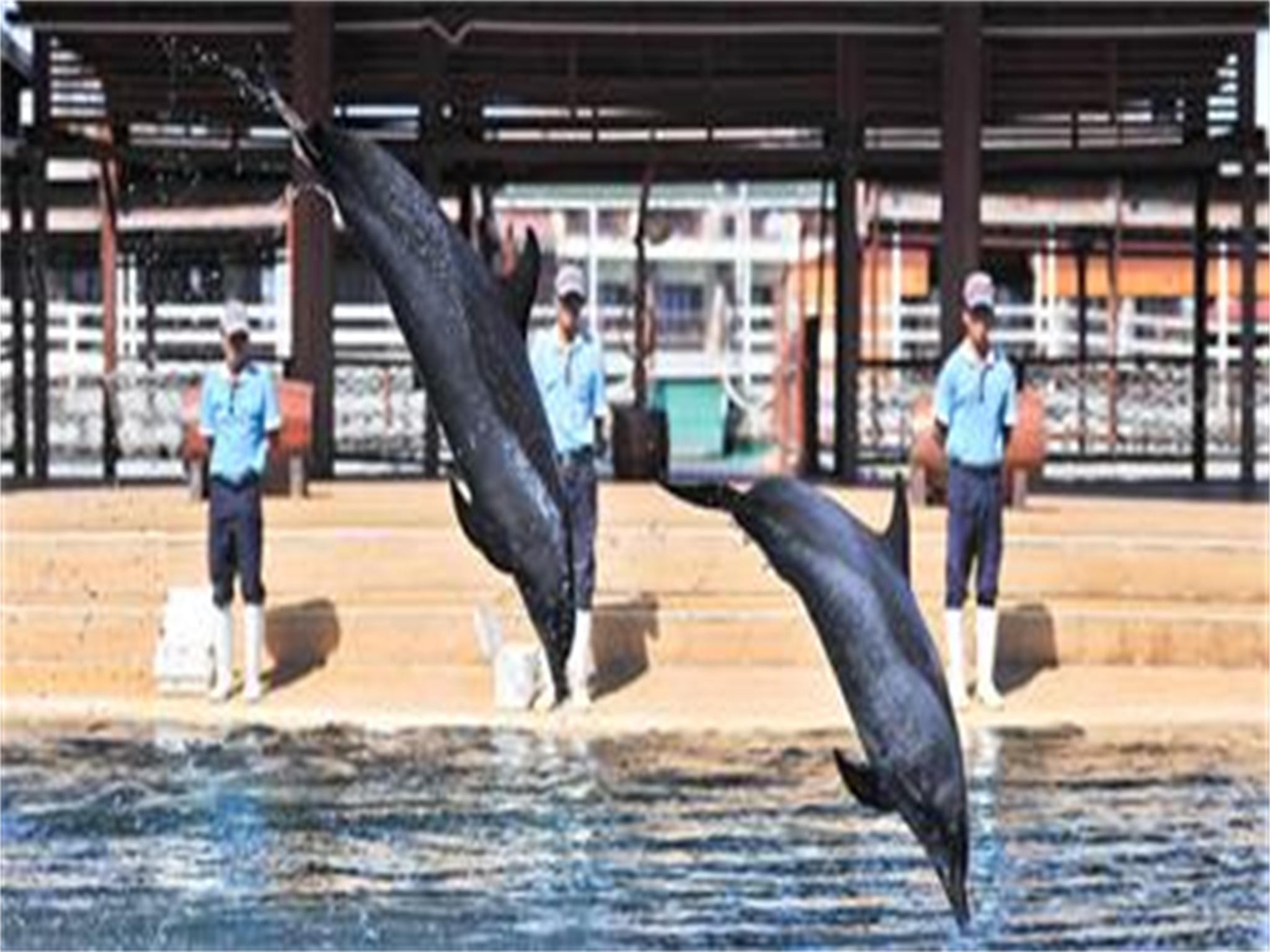 海南海口双飞5日跟团游 摩登希尔顿  K海南