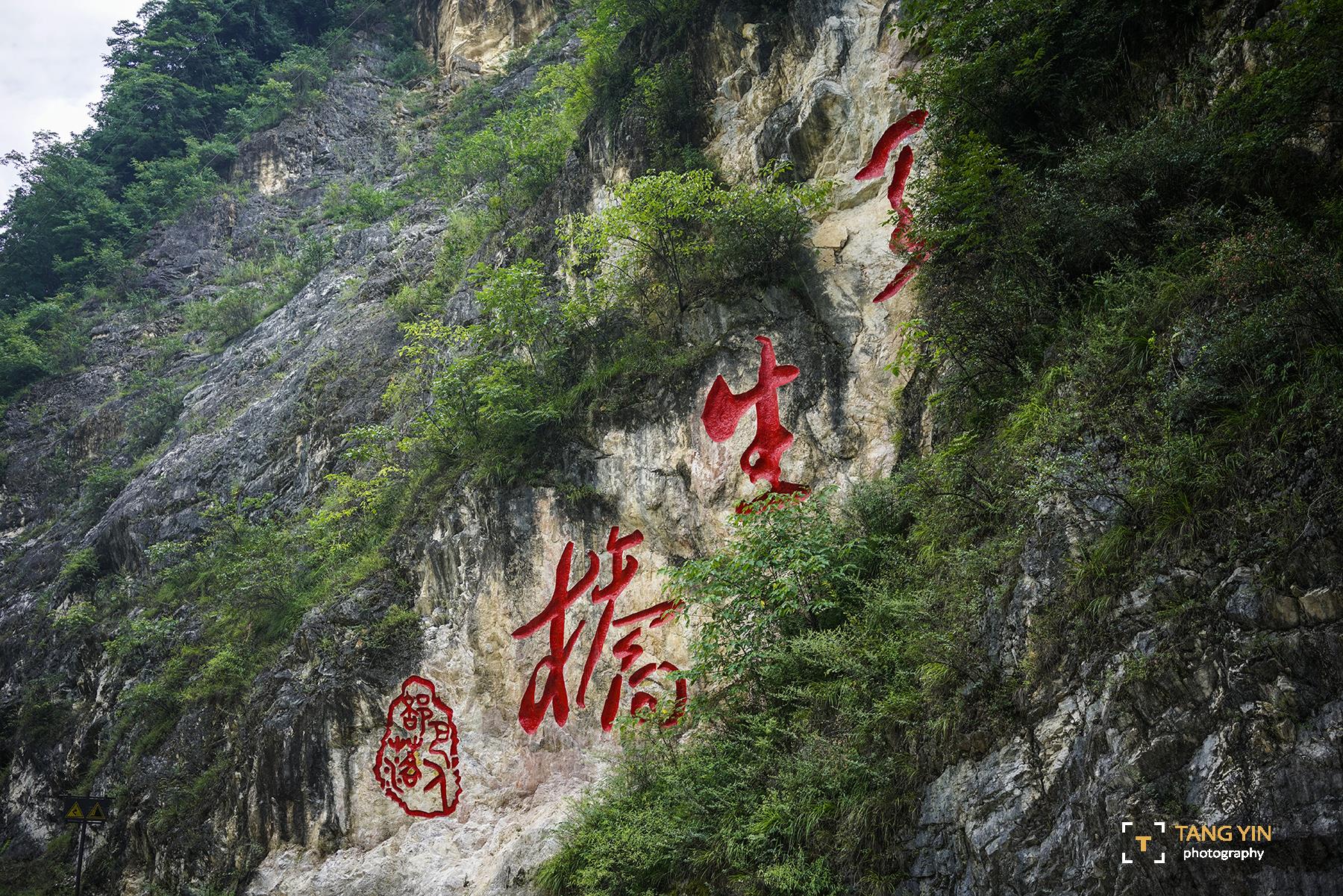 【宜昌神农架】双动6日游