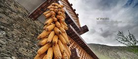 四川旅游『四川全景』【纯玩】双卧10天
