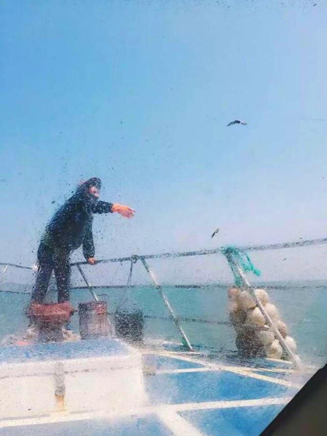 青岛+荣成+威海+蓬莱+烟台双飞4日跟团游 约惠半岛 T山东