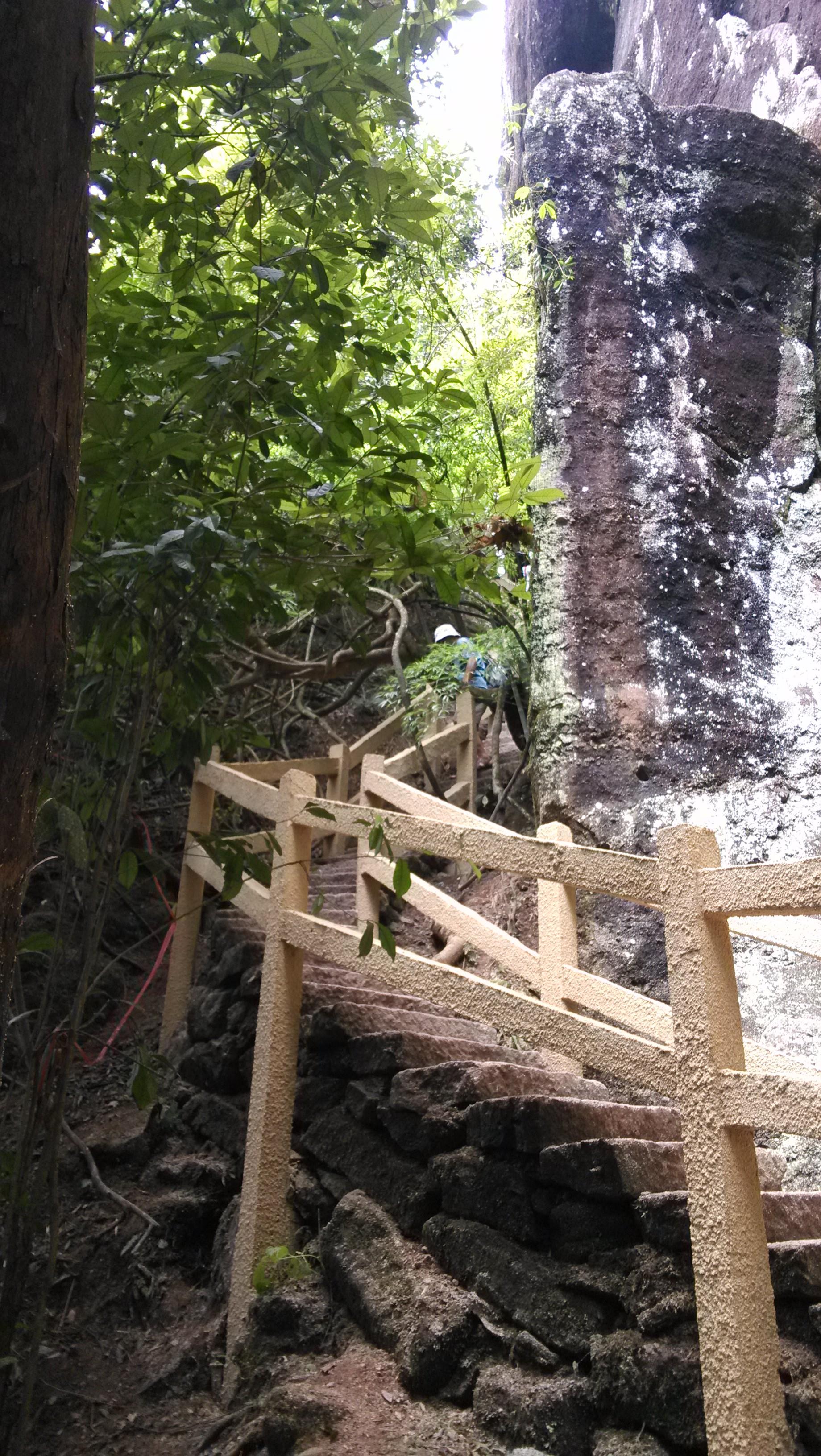 武夷山+九曲溪漂流+印象大红袍双高4日跟团游 过大年 H福建