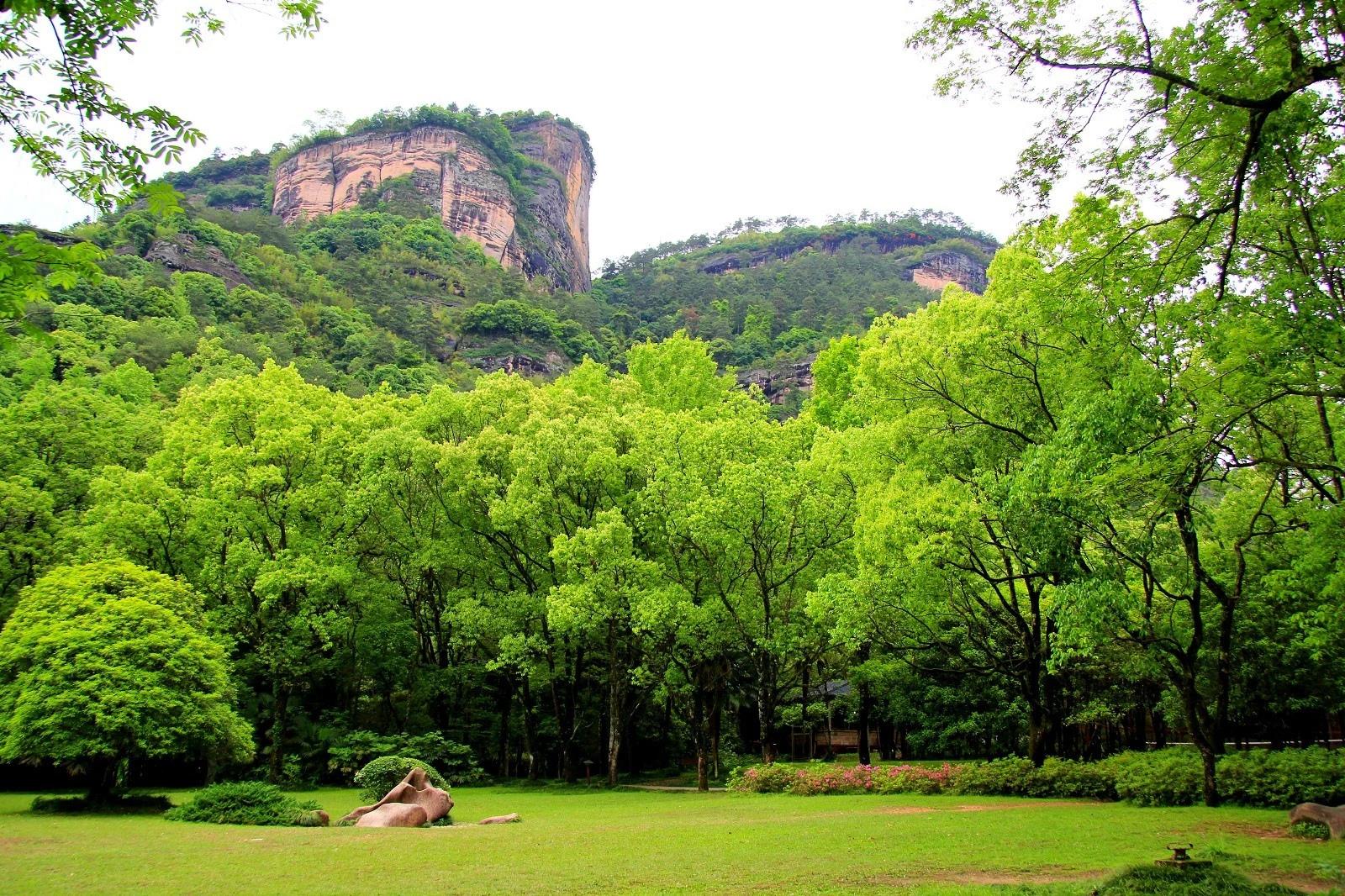 福建+浙江+江郎山+武夷山巴士四日跟团游 YH武夷山