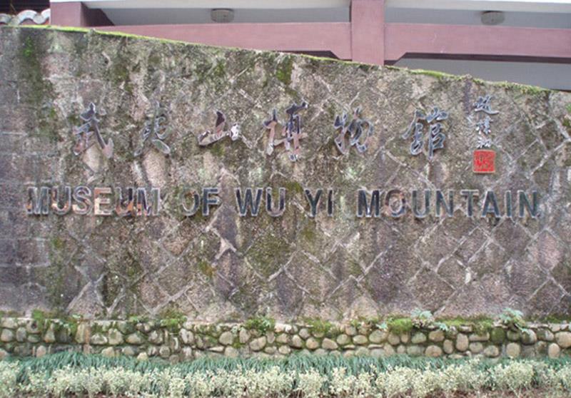 武夷山天游峰+九曲溪竹筏+大红袍景区新春祈福双高4日跟团游 AL福建