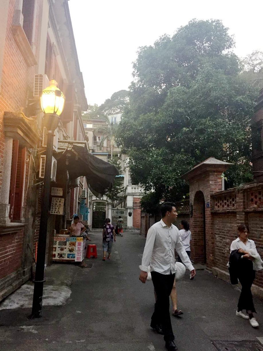 厦门花季鹭岛+鼓浪屿+铁路公园赏花双动四日跟团游 AL福建