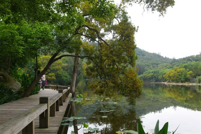 厦门鼓浪屿+沙滩派对+赶海抓蟹+马戏亲子双高四日跟团游 AL福建