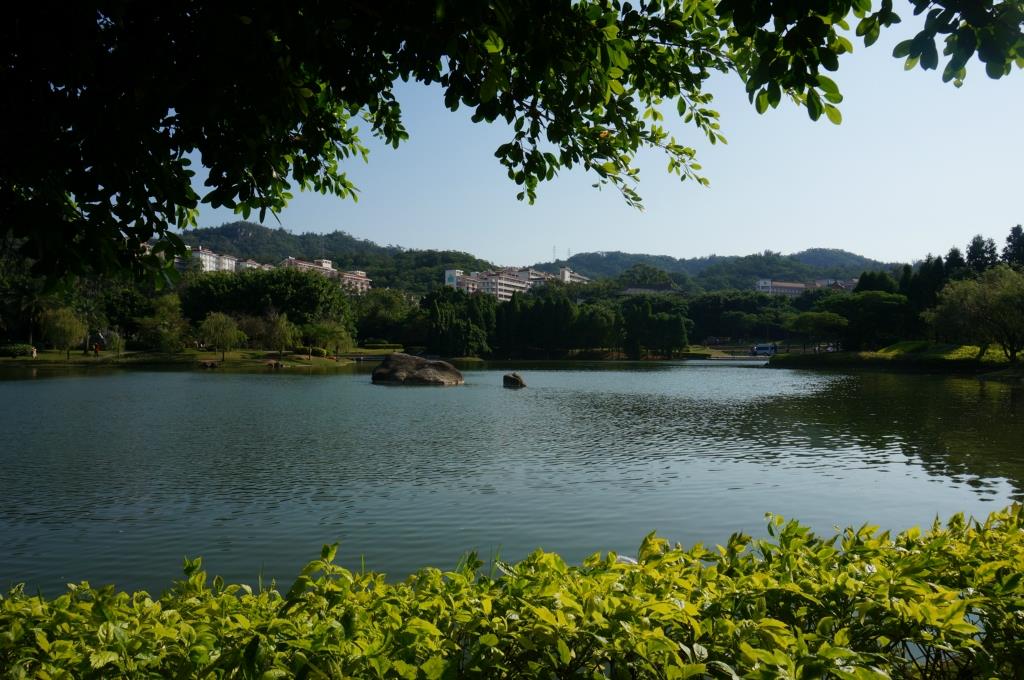 福建厦门鼓浪屿+永定土楼双高铁4日游 HP福建