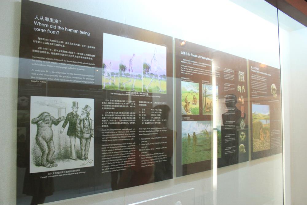 泉州开元寺+崇武古城+晋江五店市双动四日跟团游 H福建