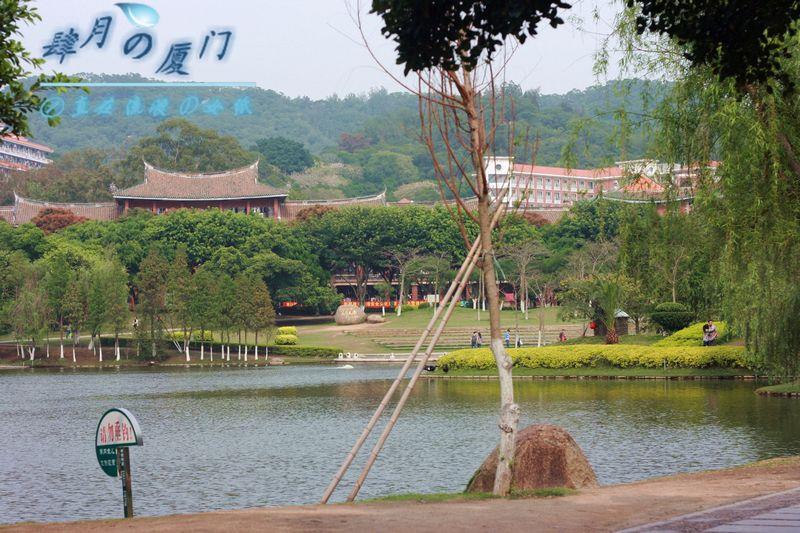 武夷山+九曲漂流+厦门+鼓浪屿+福建土楼6日跟团游 XG福建