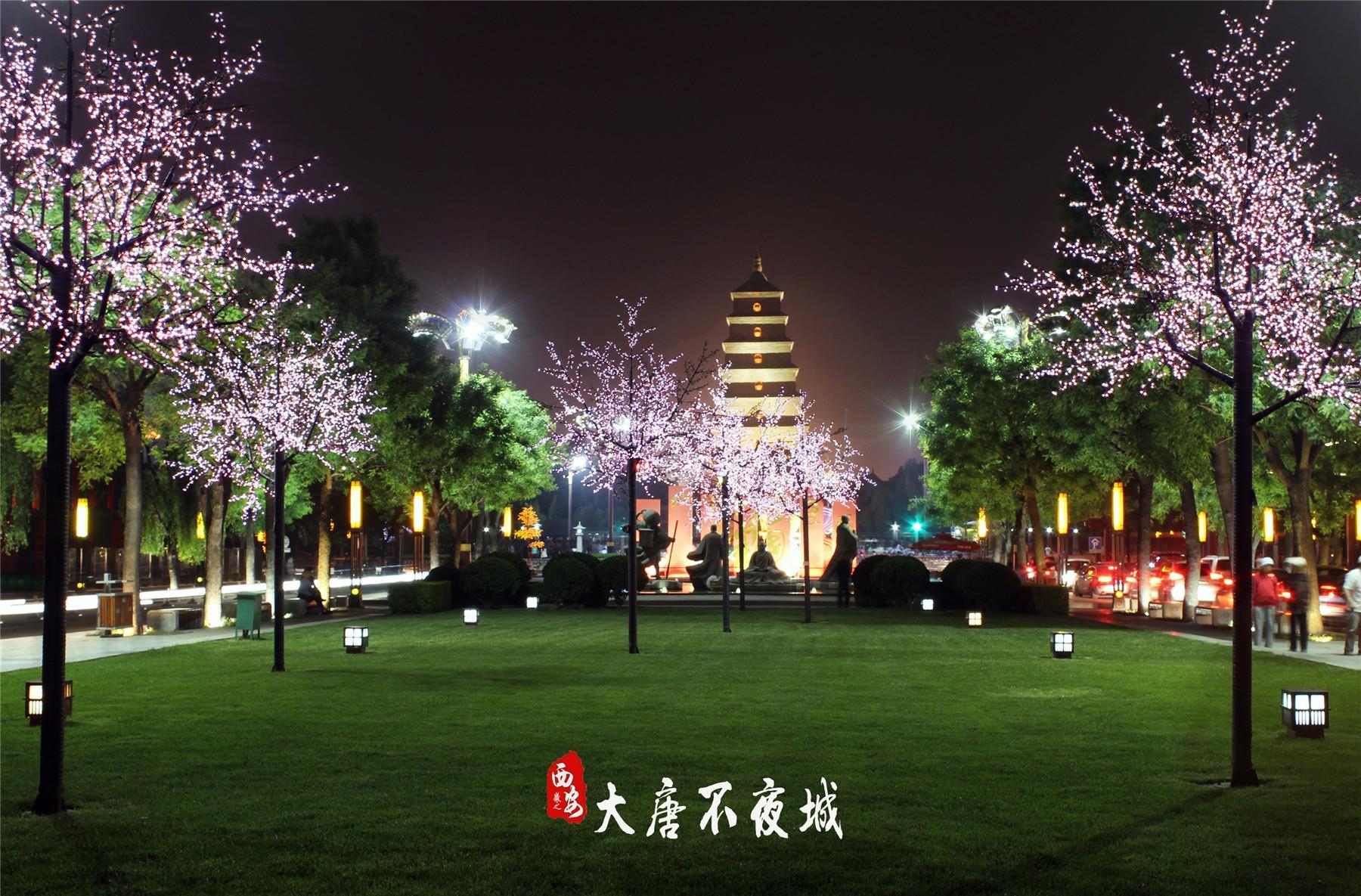 【长安山河秀】运城+壶口+延安+西安+华阴+潼关 双卧7日游