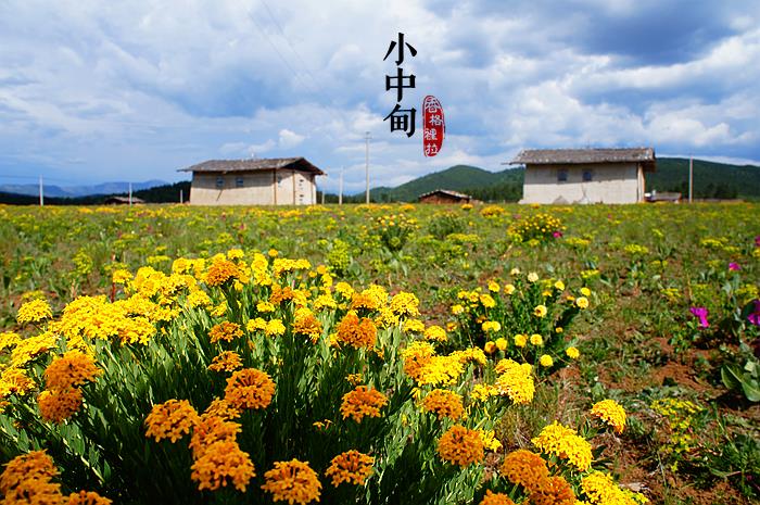 【净善净美】昆明+大理+丽江双飞1动6日跟团游LG云南-云美