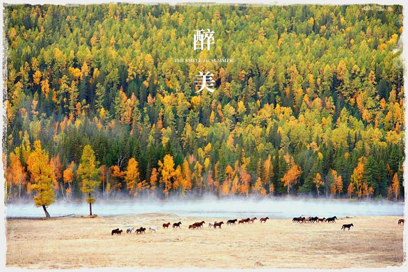 【嗨玩双湖】双飞8日