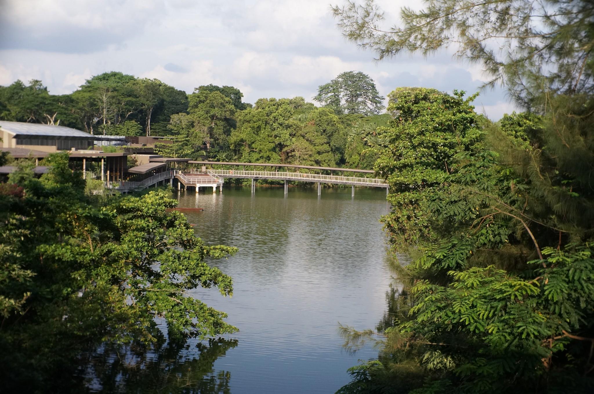 新加坡河川生态园