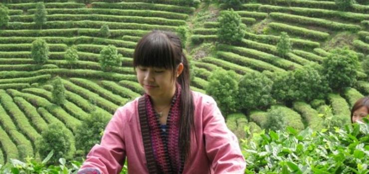 桂林船游漓江+银子岩+訾洲象鼻山+尧山风光 双飞5日跟团游 J广西